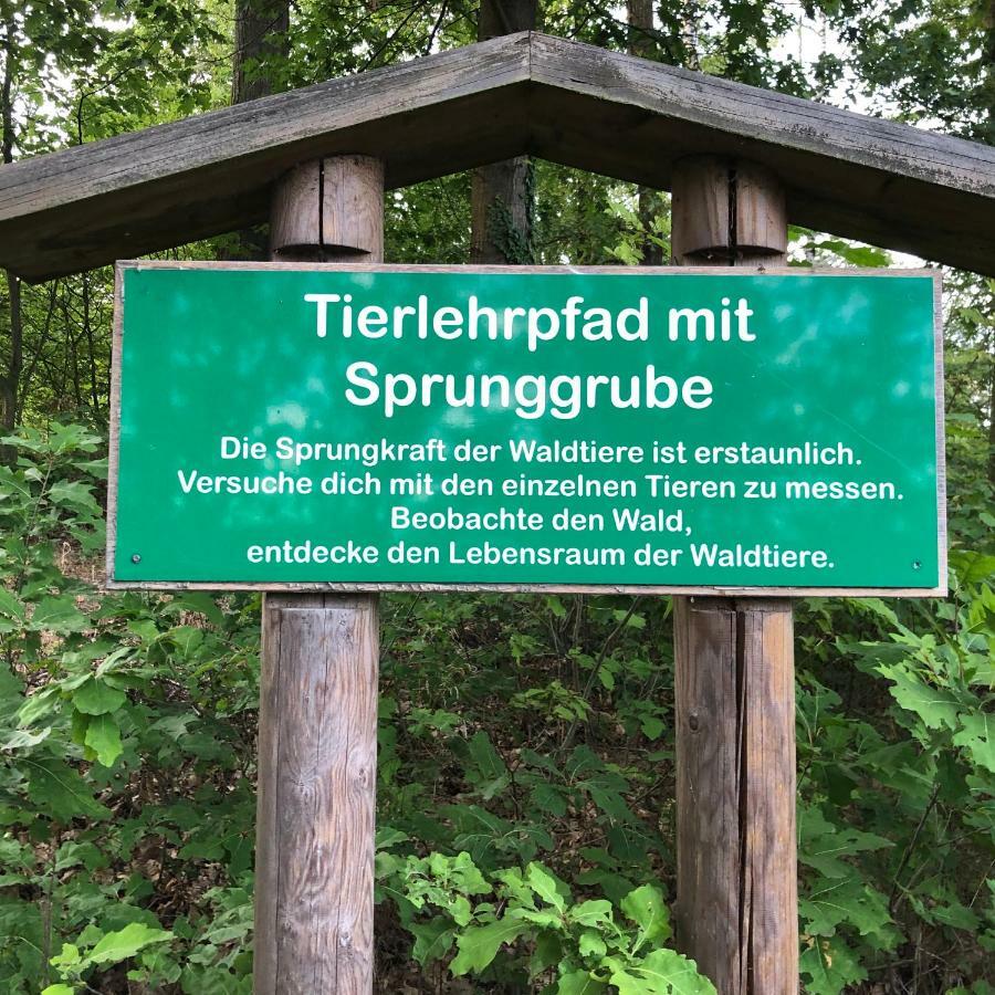 Apartmentanlage Am Kellerberg Zandt Esterno foto